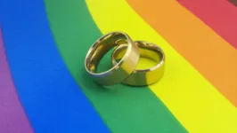 A possibilidade legal de união civil entre pessoas do mesmo sexo foi estabelecida em 14 de maio de 2013