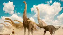 Dinossauro encontrado representa um saurópode, que eram animais quadrúpedes corpulentos que possuíam uma cabeça pequena em relação ao corpo