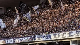 Torcida azulina conhece hoje os novos planos para apoiar o Leão na temporada 2024.