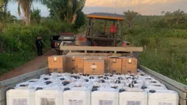 Foram encontrados diversos agrotóxicos sem documentação