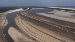 Canoas dos moradores da comunidade do Sobrado ancoradas nos bancos de areia formados no rio Negro durante seca, no município de Novo Airão (AM)