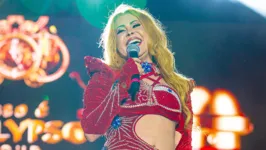 Joelma e o Pará foram temas de bloco em São Paulo