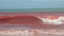 O mar pode assumir cor avermelhada com a floração de algas.