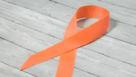 Fevereiro Laranja - mês de conscientização sobre a leucemia