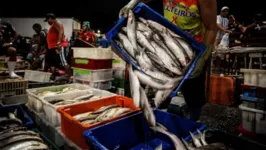 Feira do peixe em Belém