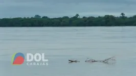 Rio Tocantins subiu nas últimas horas em Marabá