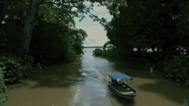 O lançamento será no dia 12 de janeiro