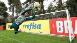 Com estatura acima da média, o goleiro Mateus, do Palmeiras, recebeu no clube o apelido de “Mateusão” devido à altura de 1,99m.