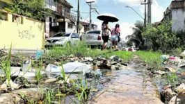 O Aedes utiliza qualquer tipo de recipiente capaz de acumular água para depositar os ovos