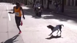 Catherine Reline mostrou profissionalismo ao lidar com cãozinho.