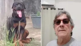 Cão atacou o próprio dono com mordidas fatais na região do pescoço e da cabeça