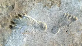 Pegadas fósseis revelam presença humana nas Américas antes do que se pensava.