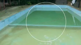 Fiação caída dentro de piscina de chácara