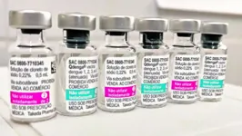 A primeira remessa da vacina chegou ao país no último sábado (20).
