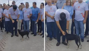 Imagem ilustrativa da notícia Governador do Pará acalma cadela com medo de drone 