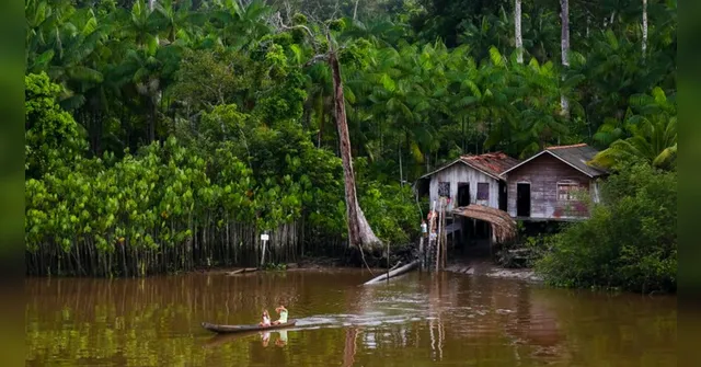 Imagem ilustrativa da notícia AGU vai investigar fake news disseminadas sobre o Marajó