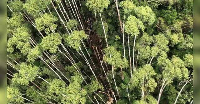 Imagem ilustrativa da notícia Ocupantes de helicóptero desaparecido são encontrados mortos