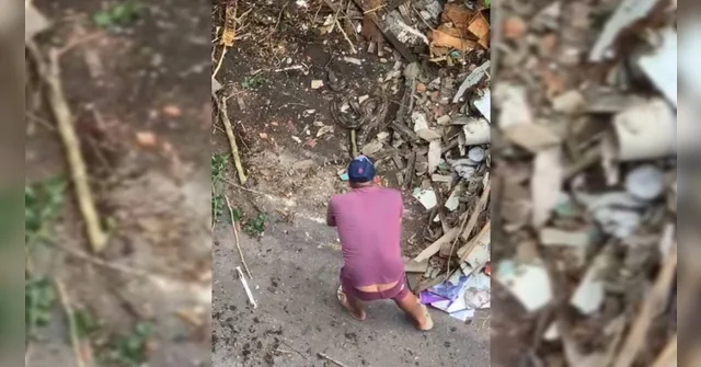 Imagem ilustrativa da notícia Vídeo: cobra é encontrada em conjunto residencial em Belém
