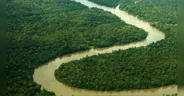 Imagem ilustrativa da notícia Pará lidera queda nos alertas de desmatamento em 2023