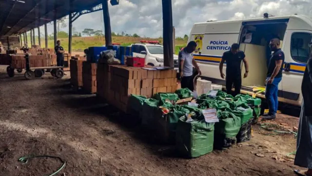 Imagem ilustrativa da notícia Polícia Civil incinera quase 100 kg de drogas no Moju