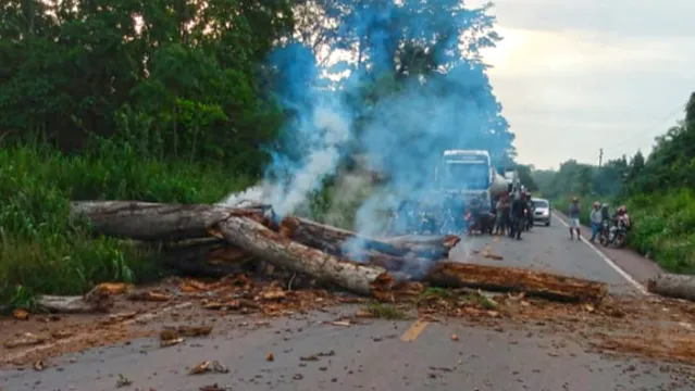 Imagem ilustrativa da notícia Vídeo: árvore cai e interdita trecho próximo à Alça Viária