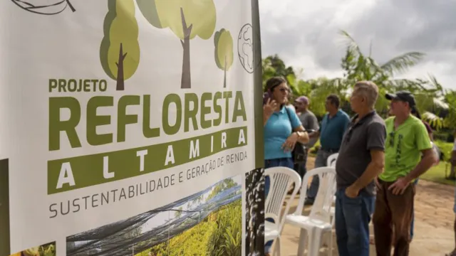 Imagem ilustrativa da notícia Pará viabiliza 500 mil mudas para reflorestamento Altamira