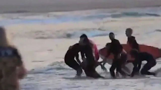 Imagem ilustrativa da notícia Vídeo: surfista de 15 anos morre após ataque de tubarão