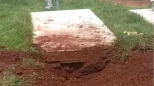 Imagem ilustrativa da notícia Homem escava túmulo para roubar cabeça da sogra em Goiás