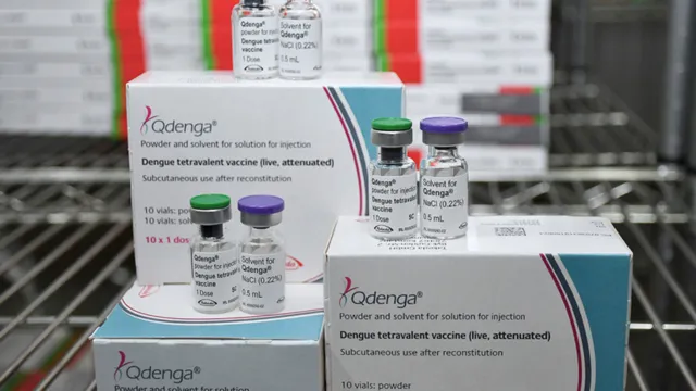 Imagem ilustrativa da notícia Dengue: governo vai enviar vacinas para mais 29 municípios
