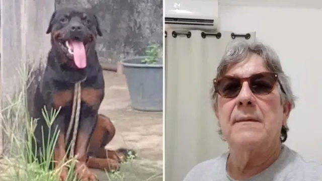 Imagem ilustrativa da notícia Cão da raça Rottweiler ataca e mata o próprio dono no Pará