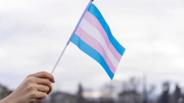 Imagem ilustrativa da notícia Dia nacional da visibilidade trans: "é sobre todos nós"