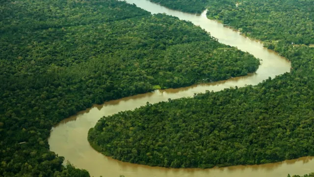 Imagem ilustrativa da notícia Pará lidera queda nos alertas de desmatamento em 2023