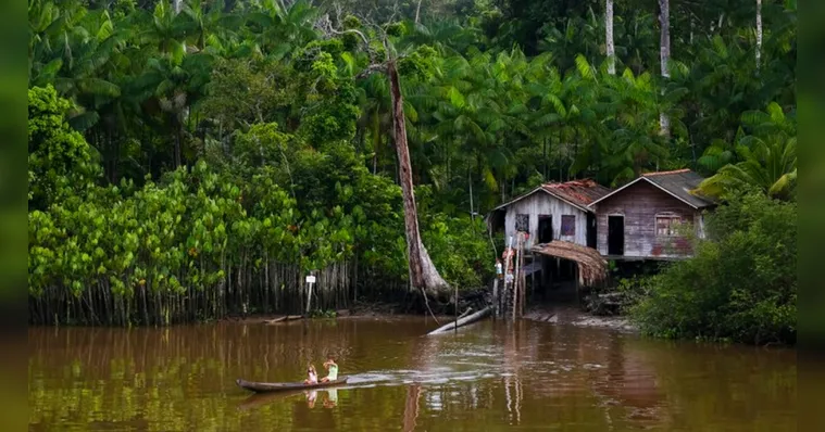 Imagem ilustrativa da notícia AGU vai investigar fake news disseminadas sobre o Marajó