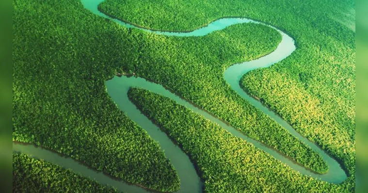 Imagem ilustrativa da notícia Desmatamento no Pará teve queda de 67% no ano