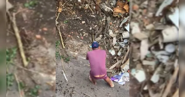 Imagem ilustrativa da notícia Vídeo: cobra é encontrada em conjunto residencial em Belém
