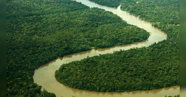 Imagem ilustrativa da notícia Pará lidera queda nos alertas de desmatamento em 2023