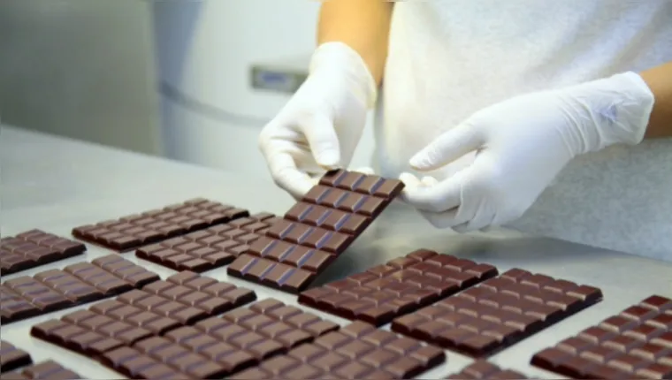 Imagem ilustrativa da notícia Paraenses se candidatam ao cargo de desgustador de chocolate