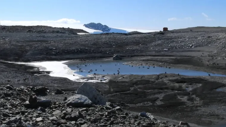 Imagem ilustrativa da notícia Cientistas brasileiros apuram sumiço de lago na Antártida