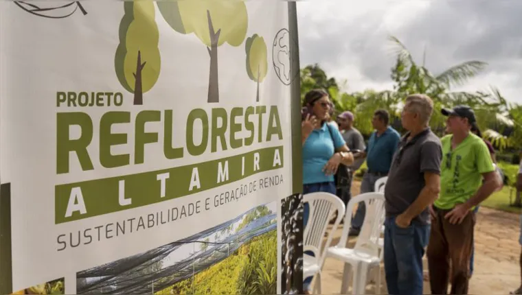 Imagem ilustrativa da notícia Pará viabiliza 500 mil mudas para reflorestamento Altamira