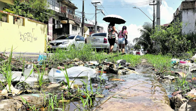 Imagem ilustrativa da notícia COE vai monitorar casos de dengue no Estado do Pará