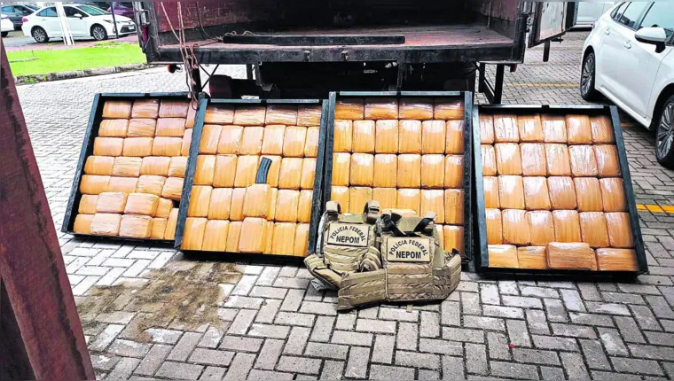 Imagem ilustrativa da notícia Polícia Federal apreende 350 quilos de skunk em Belém