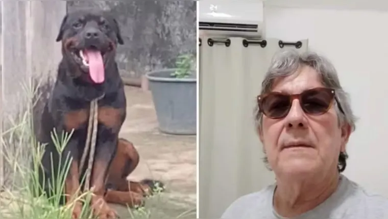 Imagem ilustrativa da notícia Cão da raça Rottweiler ataca e mata o próprio dono no Pará