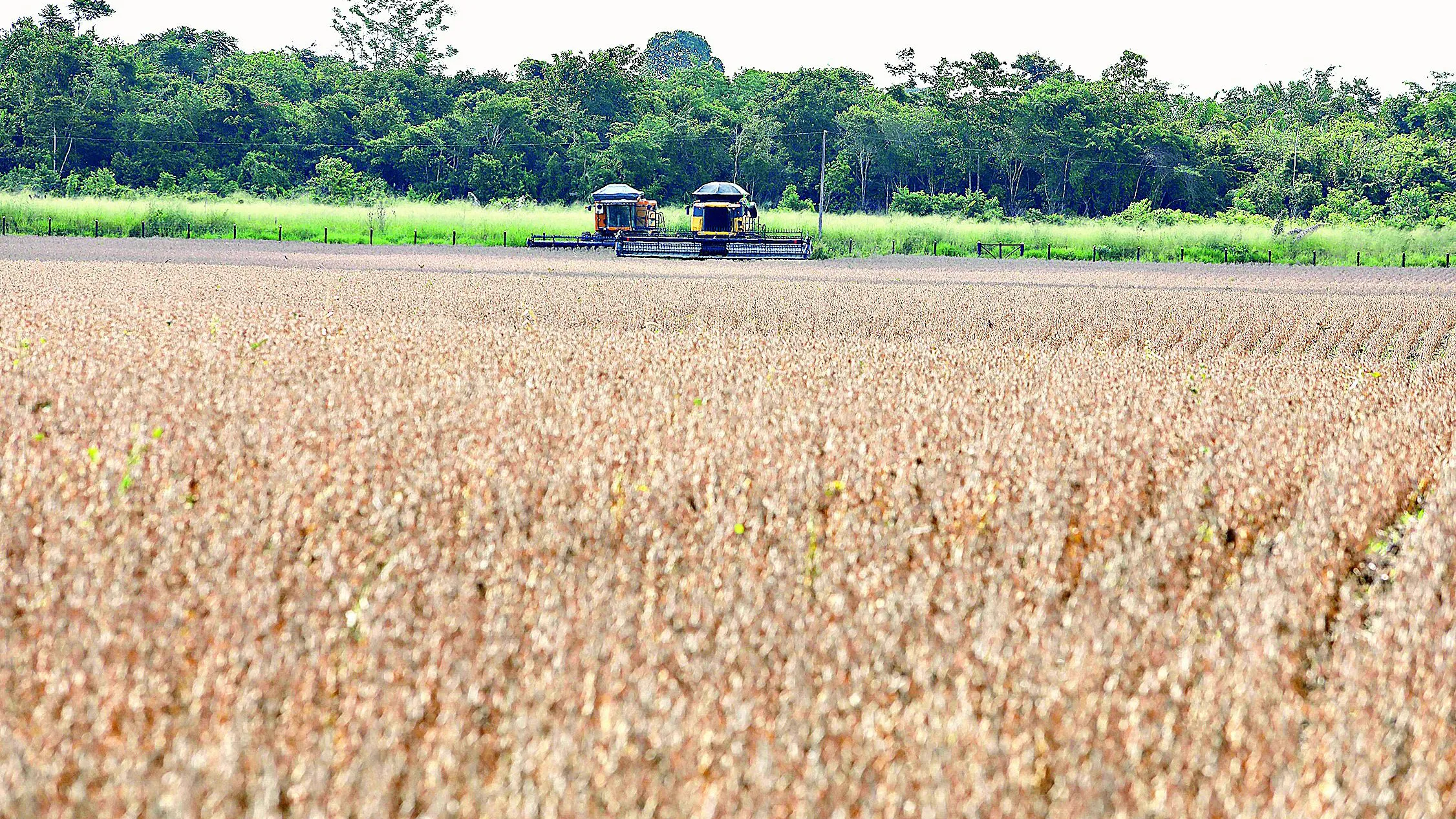 Com um investimento de R$ 768,2 milhões, o Banco impulsionou o crescimento dos pequenos produtores