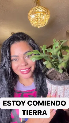 Cantora usa sua própria rede social para falar sobre o desejo de comer terra