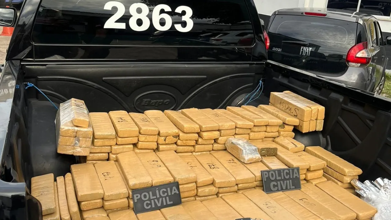 187 tabletes de maconha foram apreendidos pela Polícia Civil.