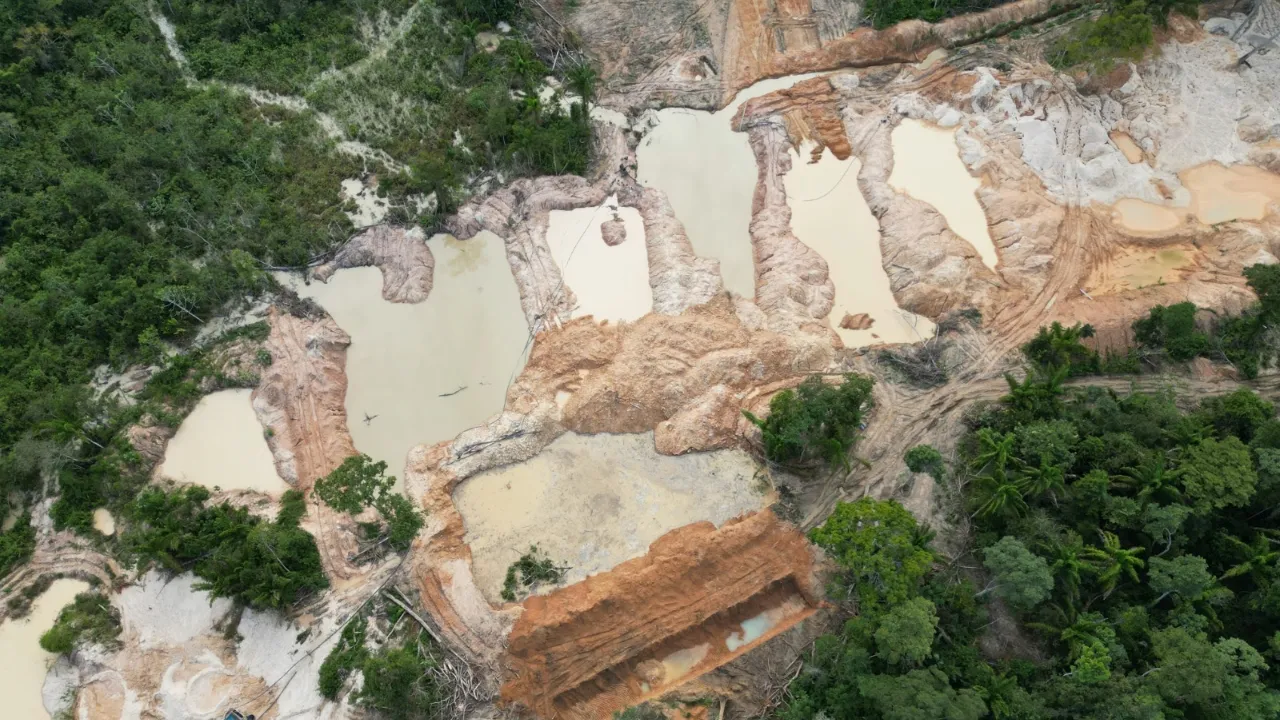 Grande área foi devastada e explorada pelos garimpeiros ilegais dentro da TI Kayapó, no sudeste do Pará