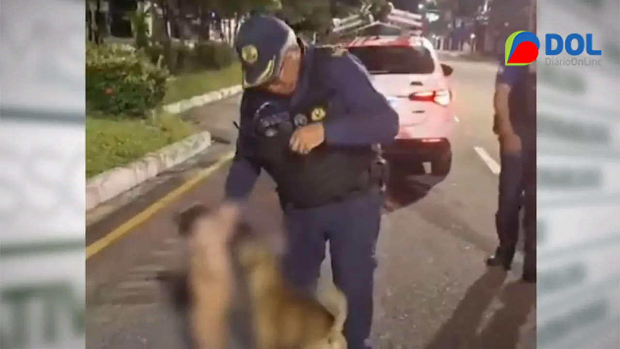 Em ronda, guardas municipais resgataram a criança que estava sem roupa e na companhia de um cachorro