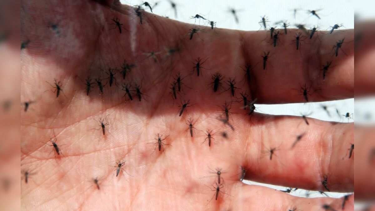 Dengue se espalha para o Sul e Centro-Oeste do Brasil