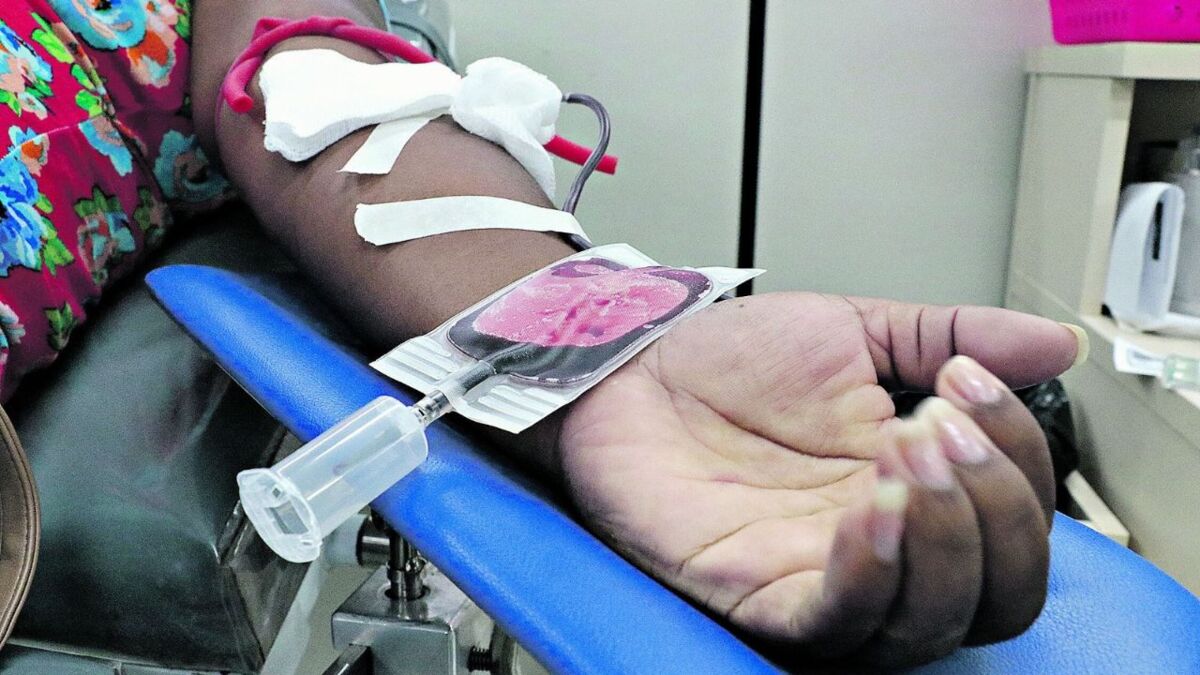 Quem teve dengue só pode doar sangue depois de 1 mês