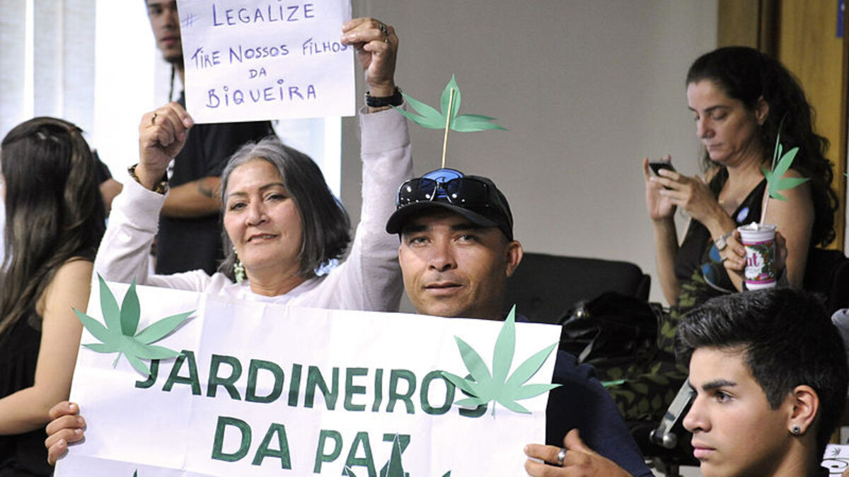 Stf Suspende Julgamento Pela Descriminalização De Maconha • Dol 0734